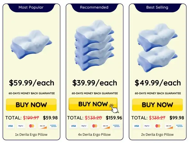 Derila Ergo Pillowprice